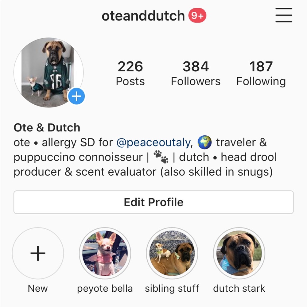 Follow Me! ✌🏻️ - Picture 4 of 5